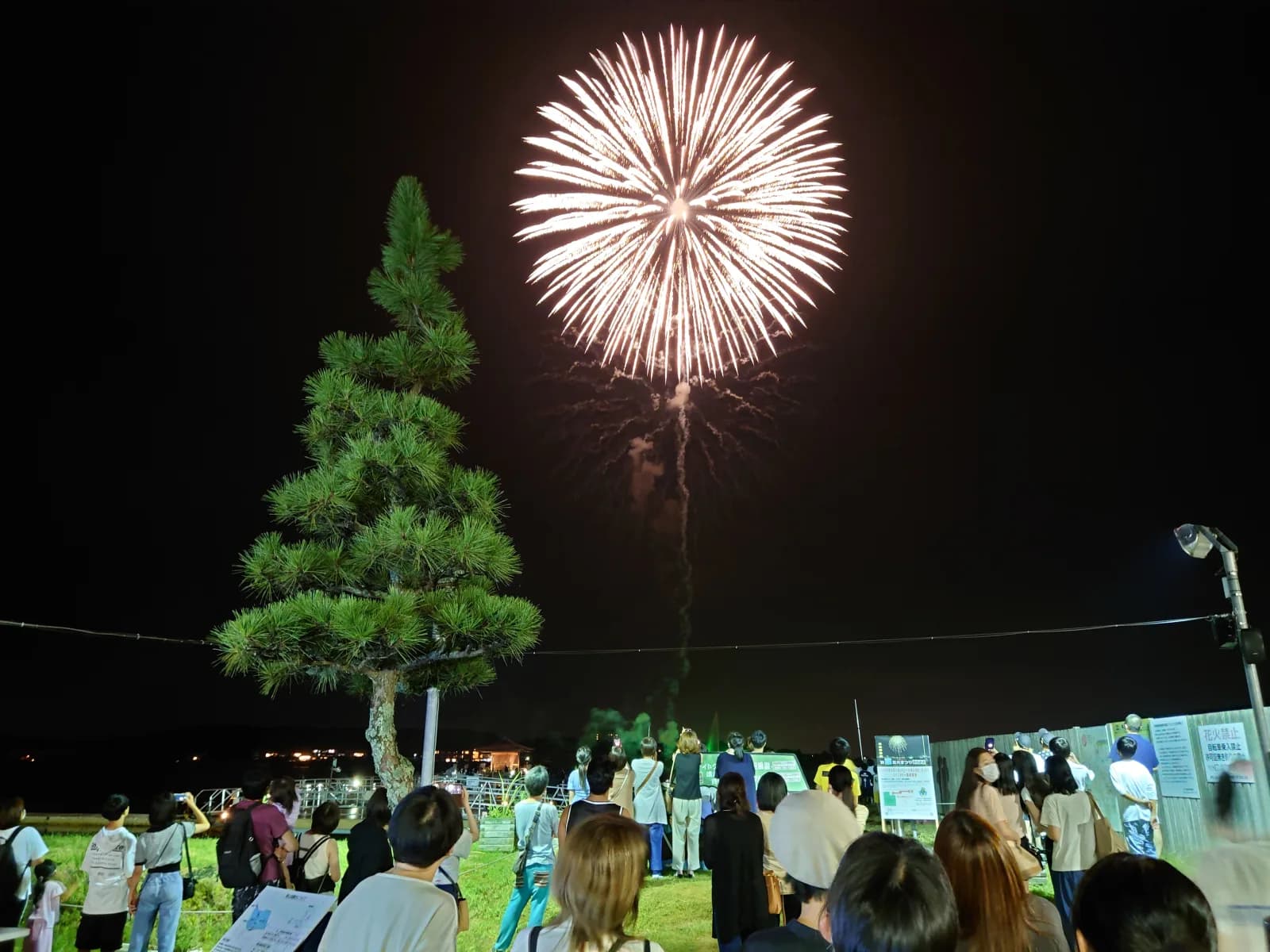 湯の元公園で頭上に咲く大輪を見上げる観客
